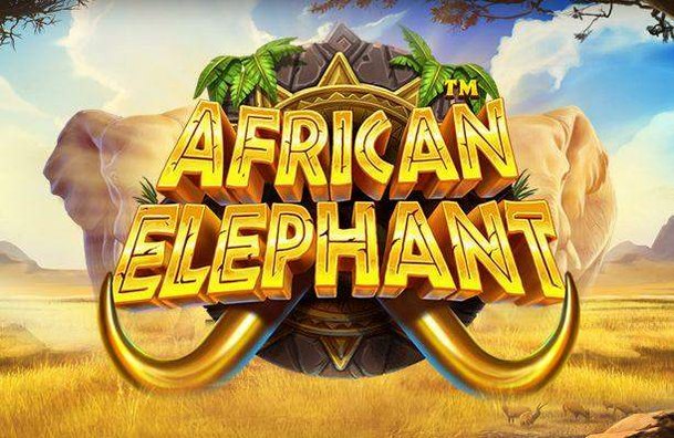 African Elephant Slot Pragmatic Play